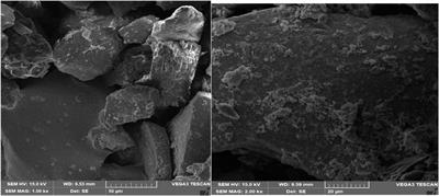 Green synthesis of lead oxide nanoparticles for photo-electrocatalytic and antimicrobial applications